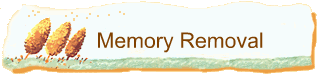 Memory Removal